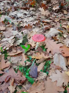 Jacquelien 03 Eerste in het echt